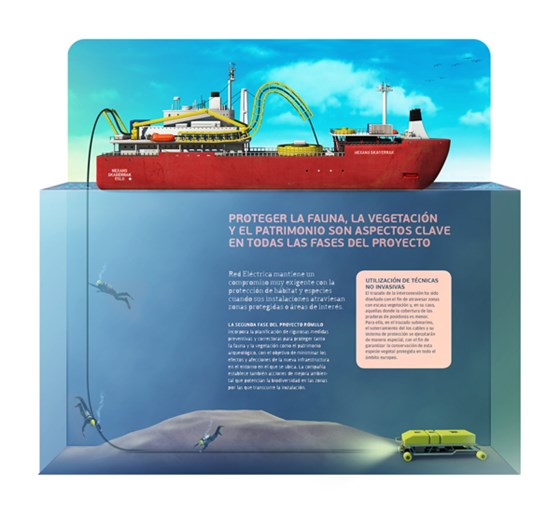 Illustrations: Illustration selection